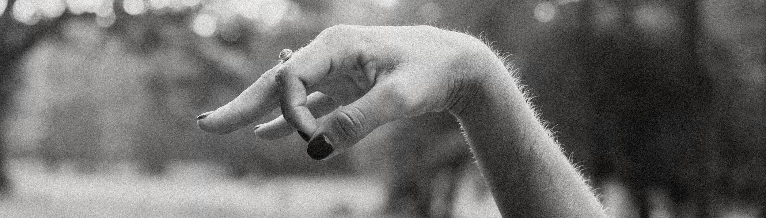 Cover Image for Calendar