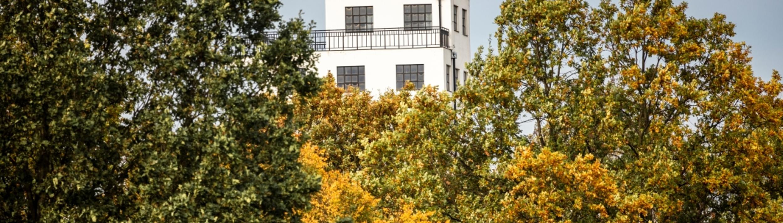 Cover Image for Calendar