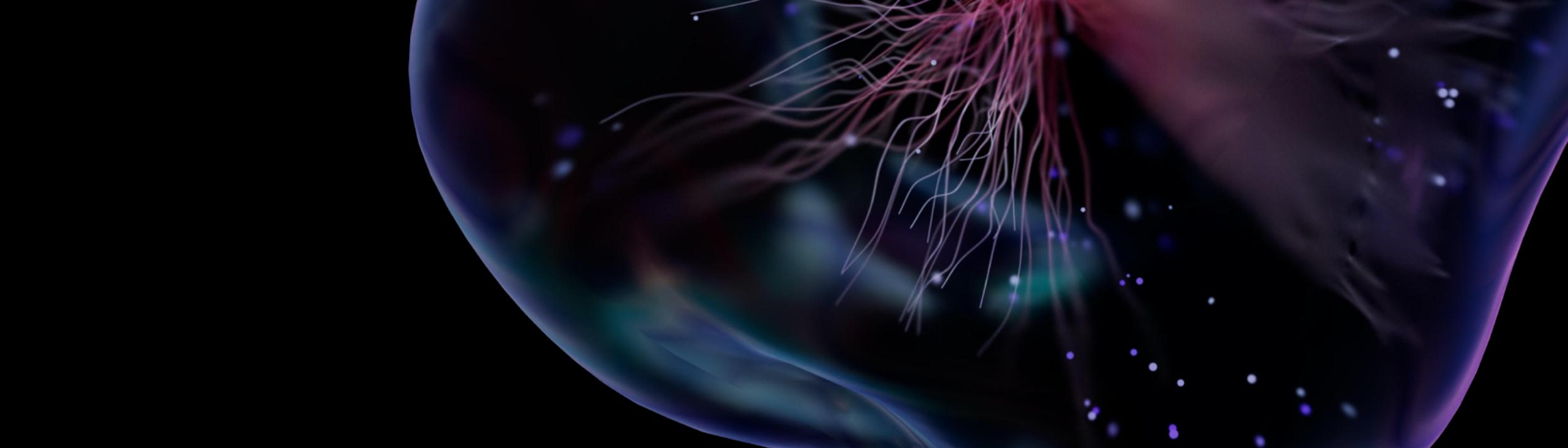 Cover Image for Calendar