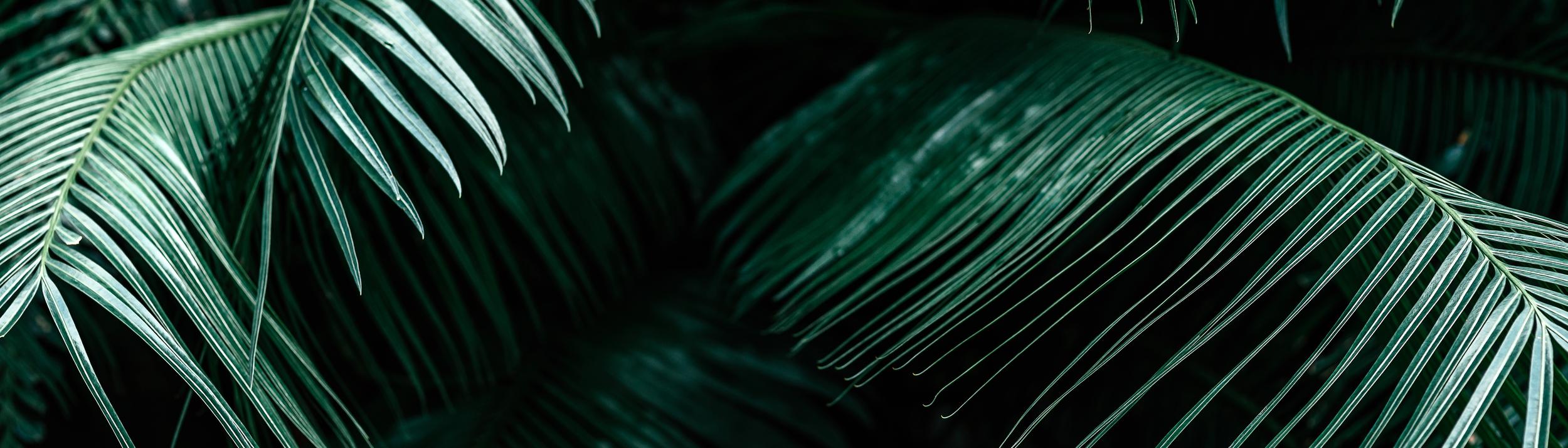 Cover Image for Calendar