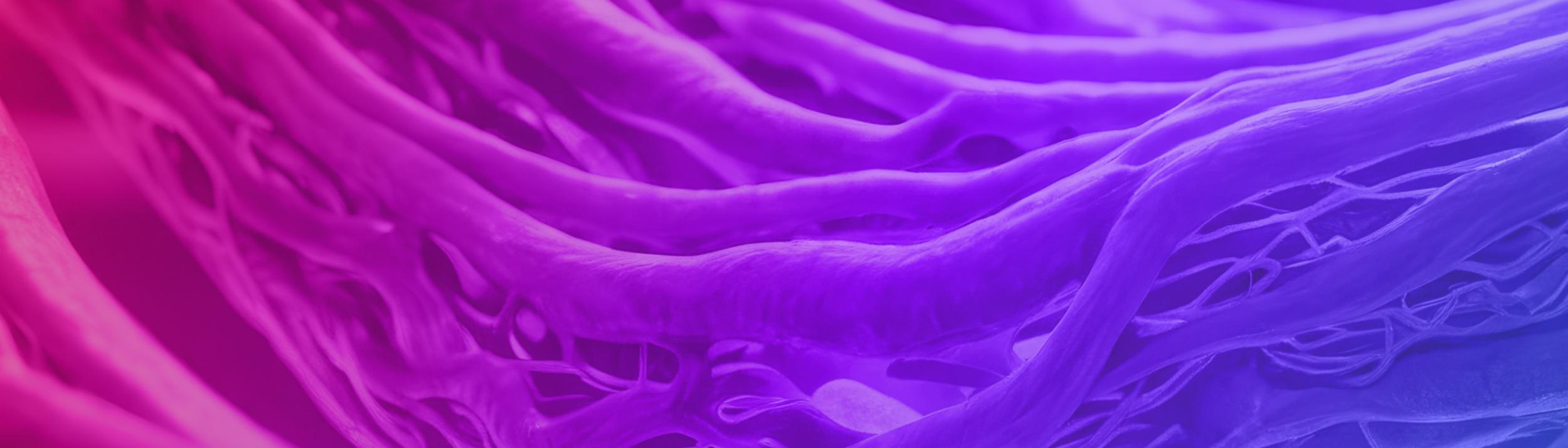 Cover Image for Calendar