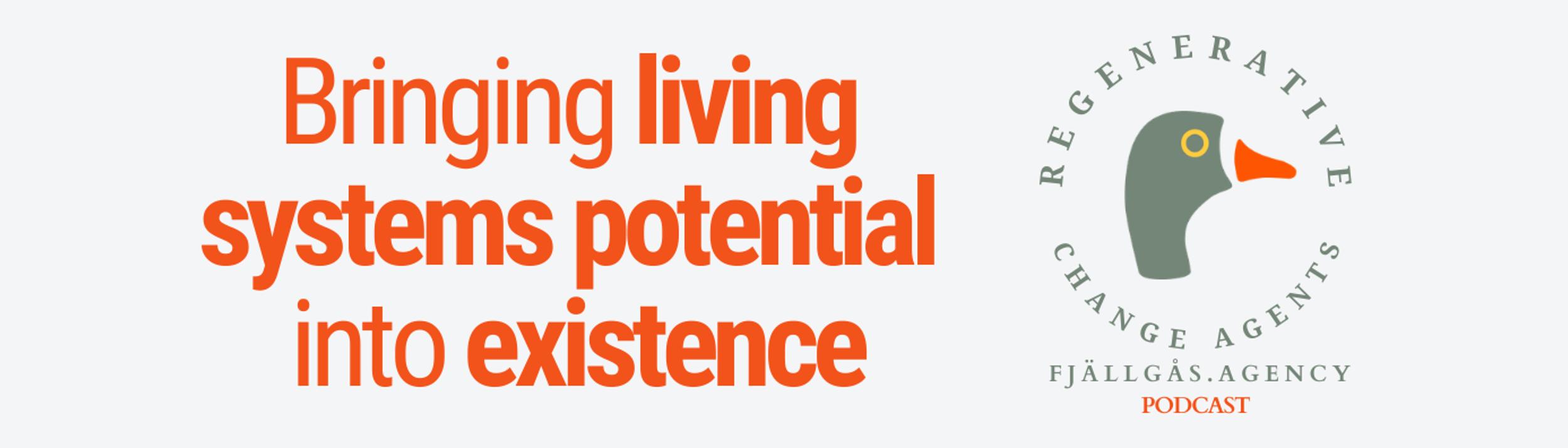 Cover Image for Calendar