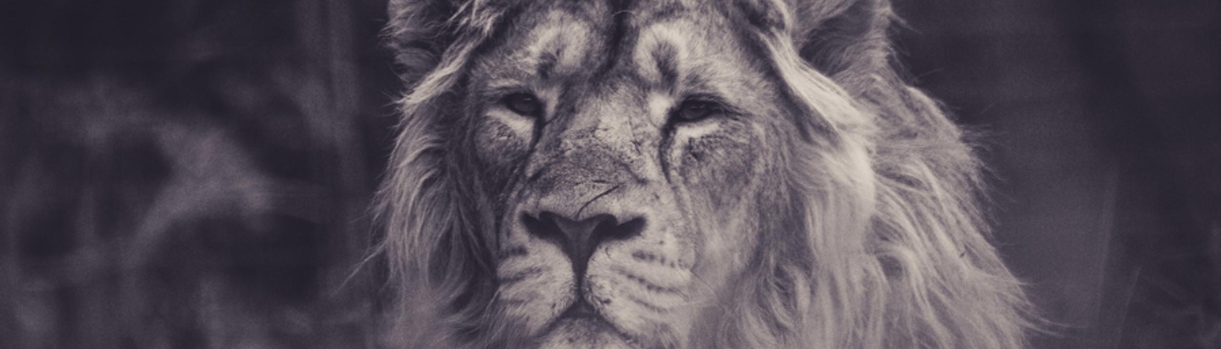 Cover Image for Calendar