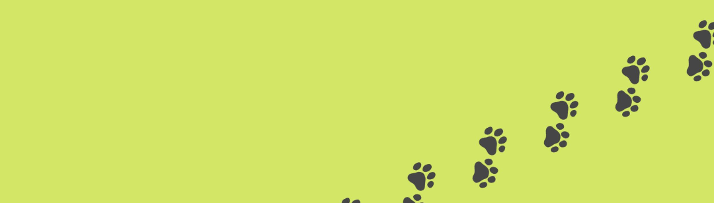 Cover Image for Calendar