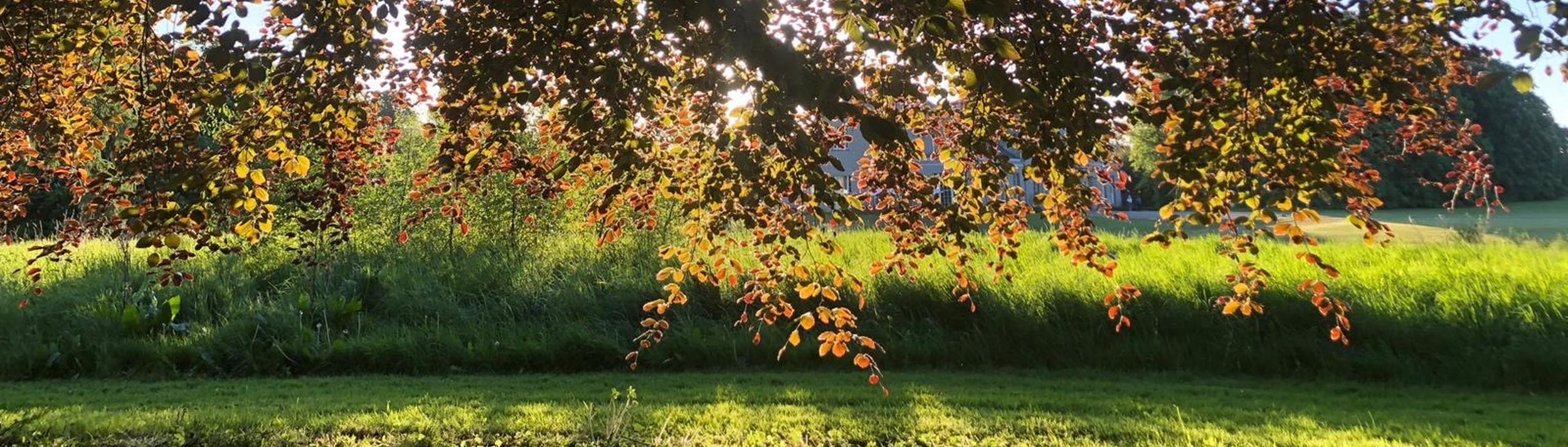 Cover Image for Calendar