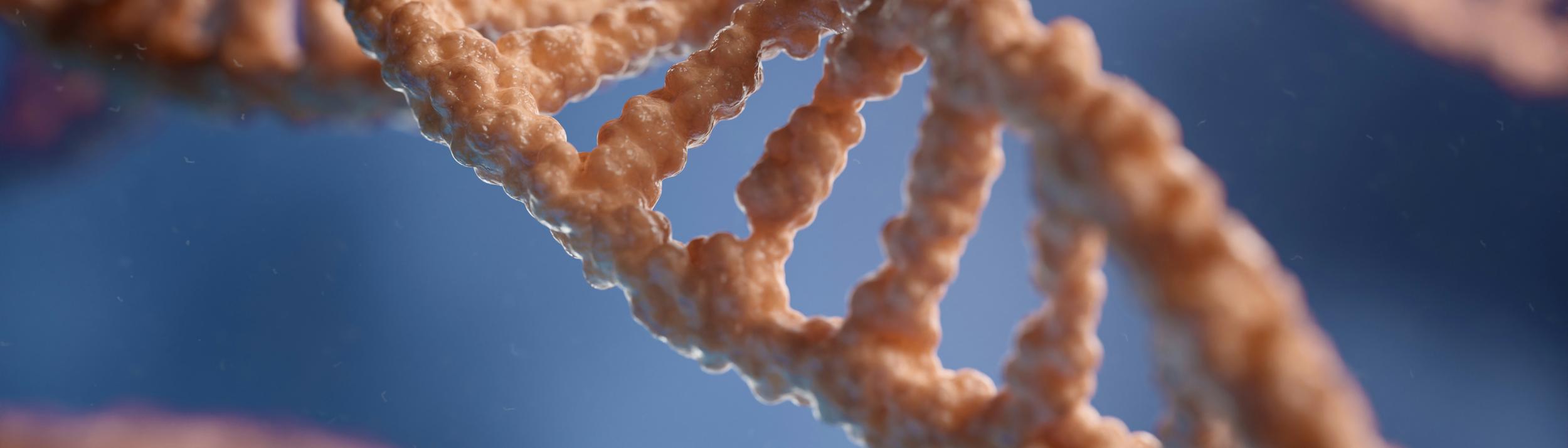 Cover Image for Calendar