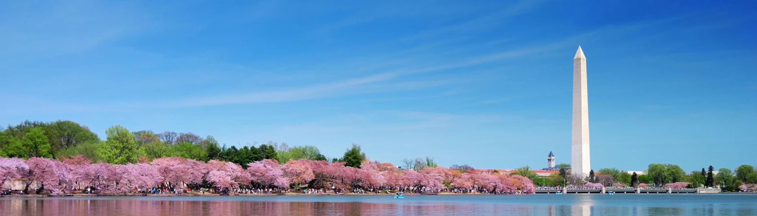 Cover Image for Calendar