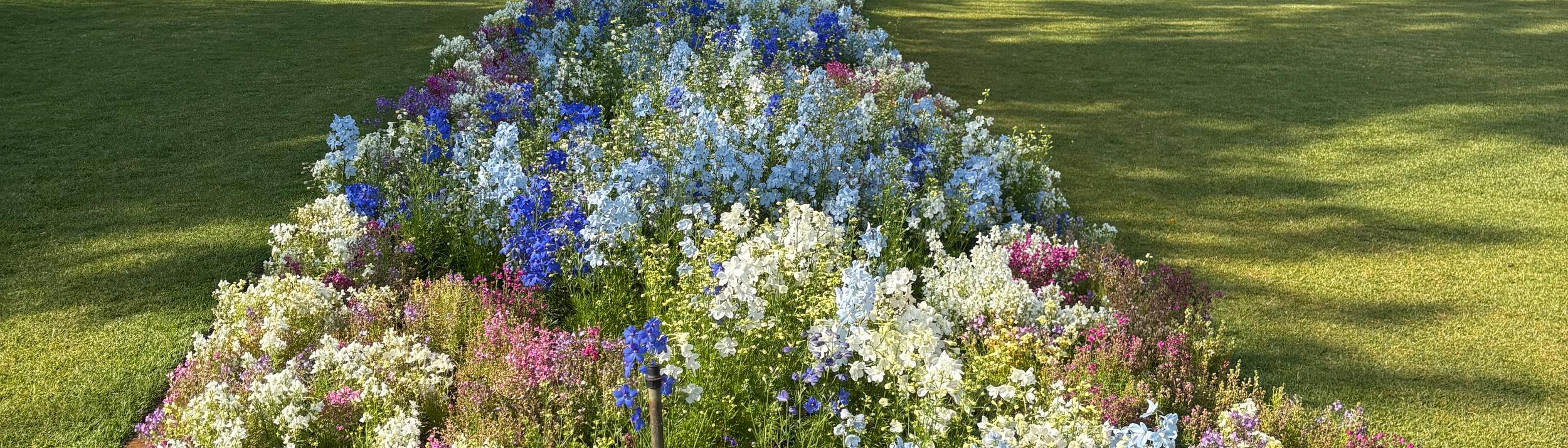 Cover Image for Calendar