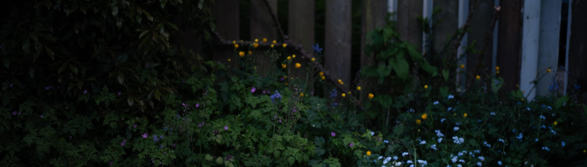 Cover Image for Calendar