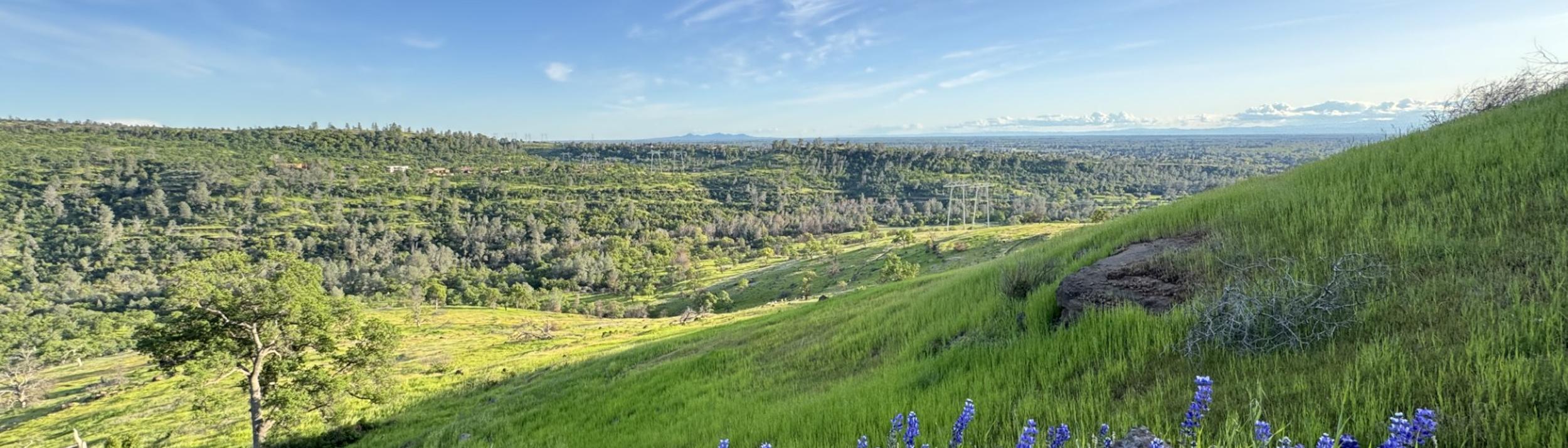 Cover Image for Calendar