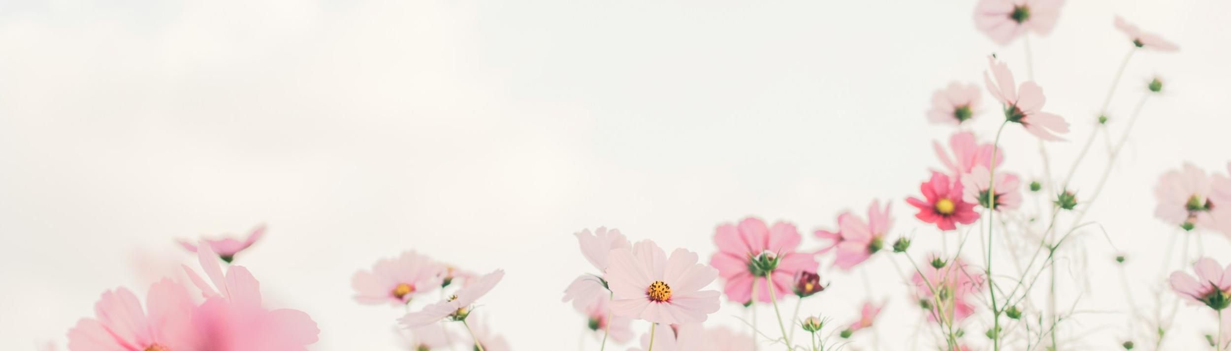 Cover Image for Calendar