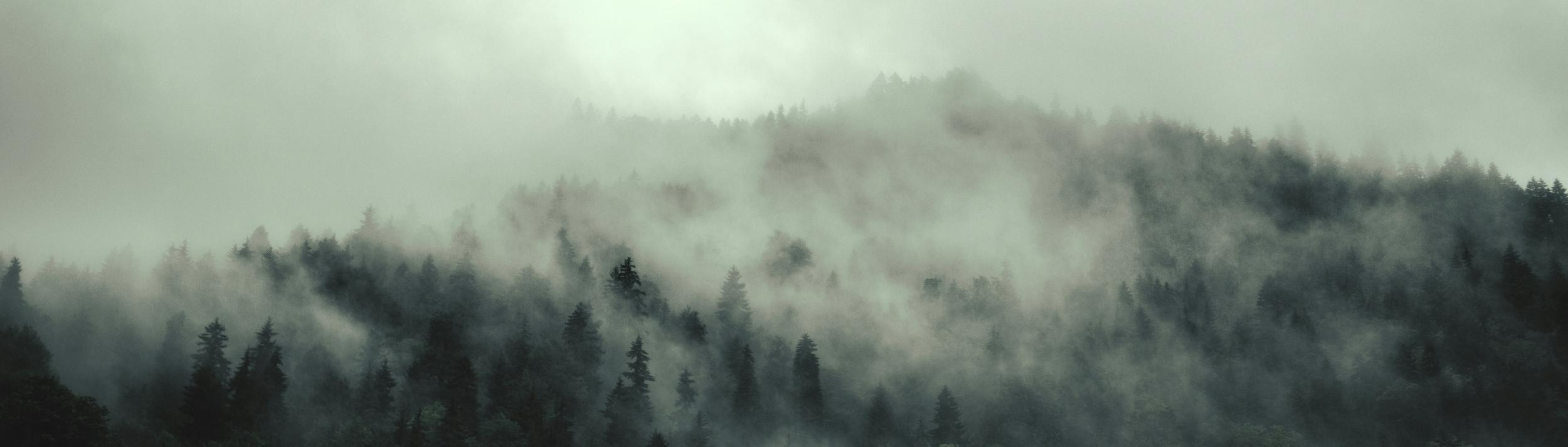 Cover Image for Calendar
