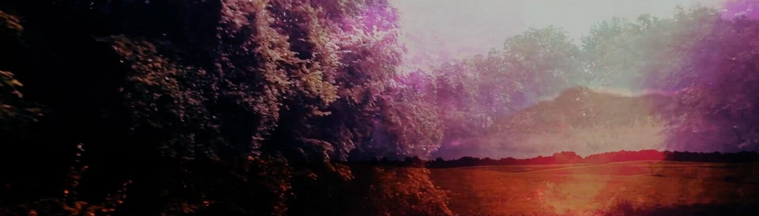 Cover Image for Calendar