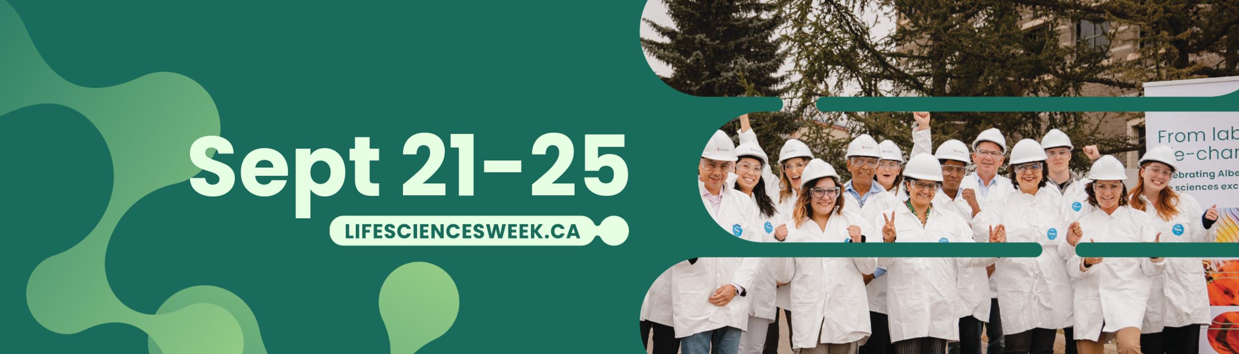 Cover Image for Calendar