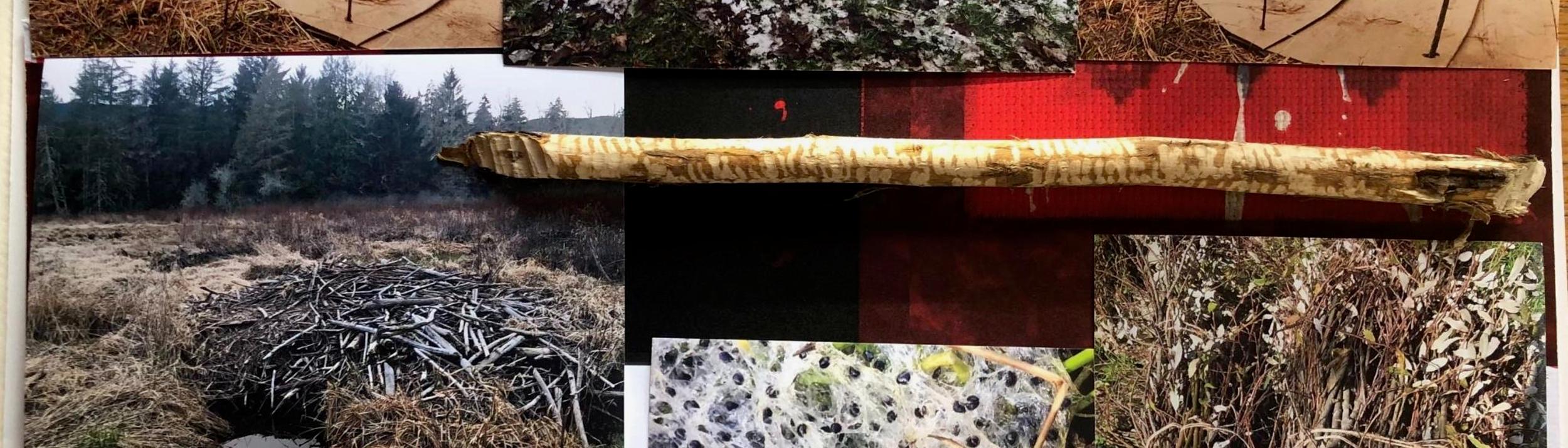 Cover Image for Calendar