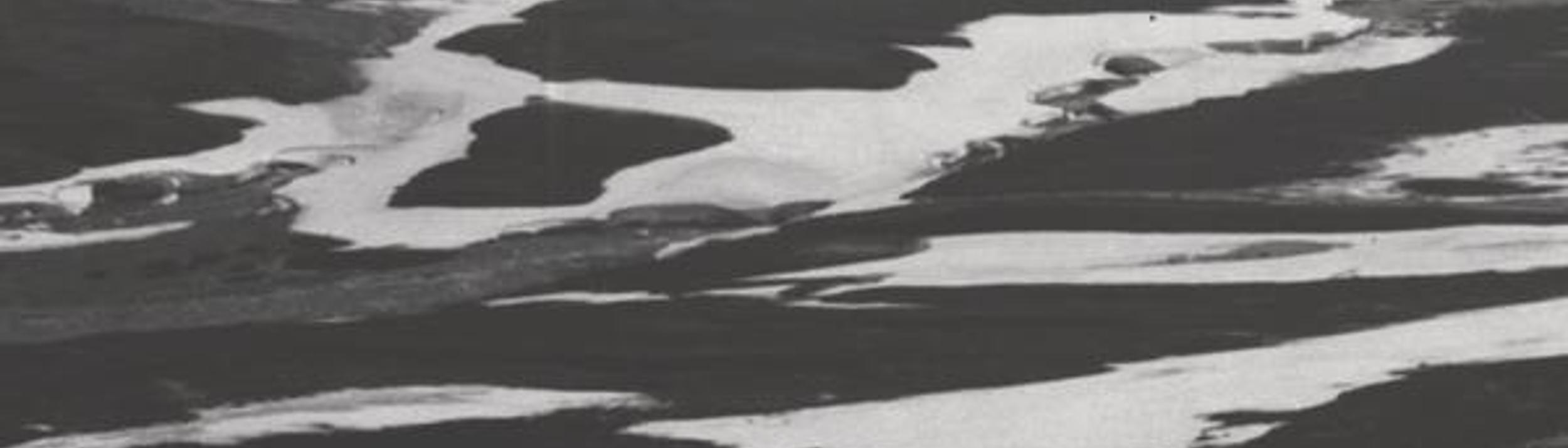 Cover Image for Calendar