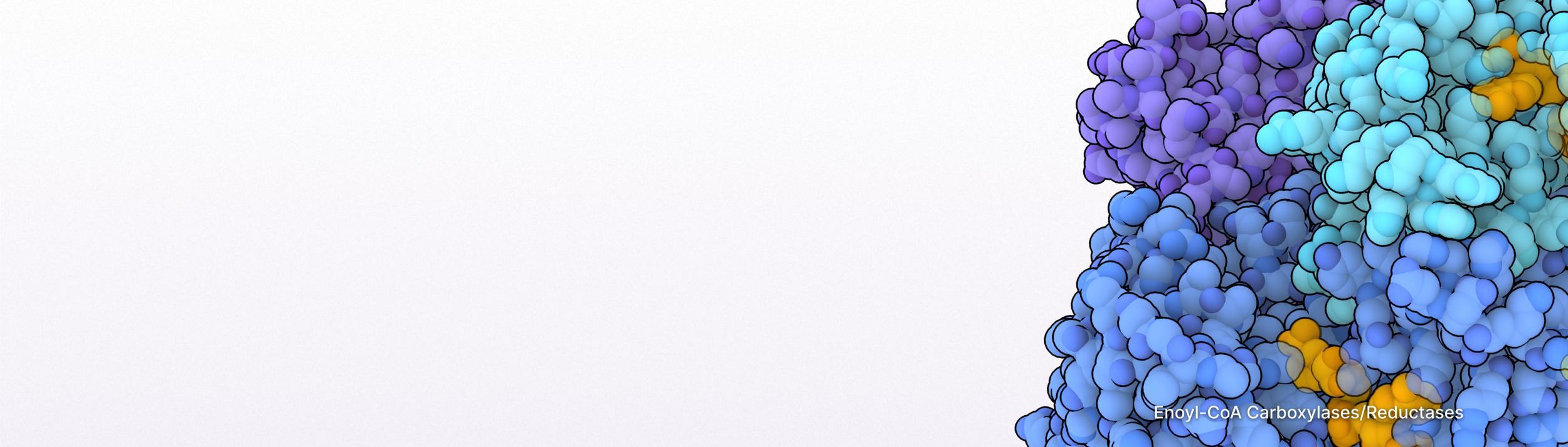 Cover Image for Calendar