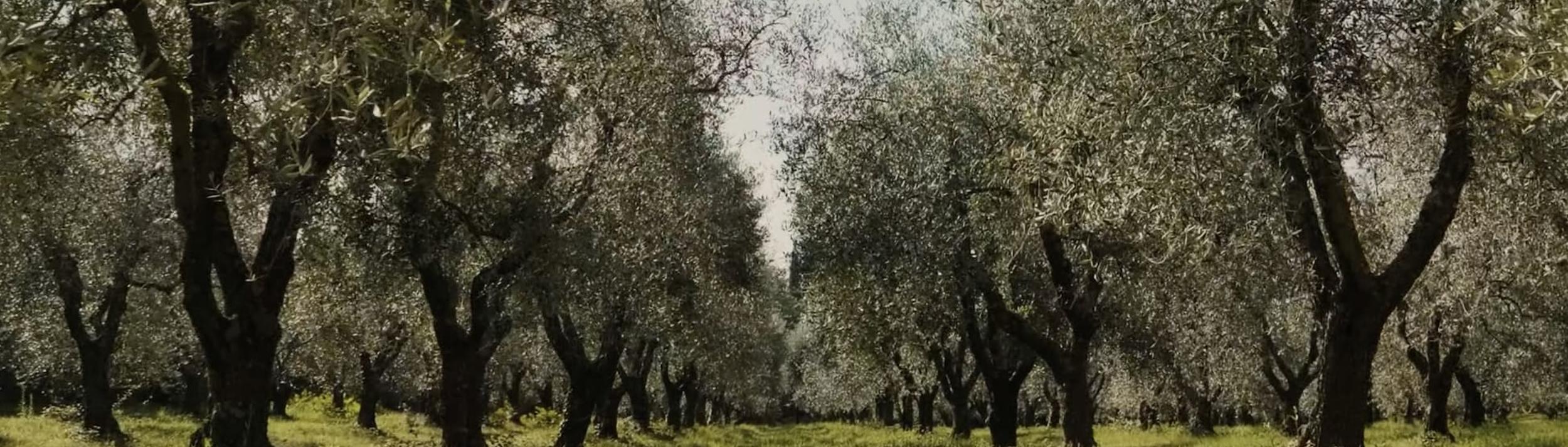 Cover Image for Calendar