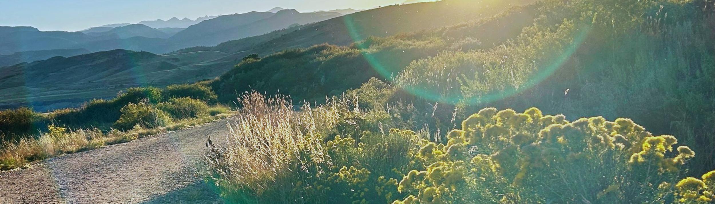 Cover Image for Calendar