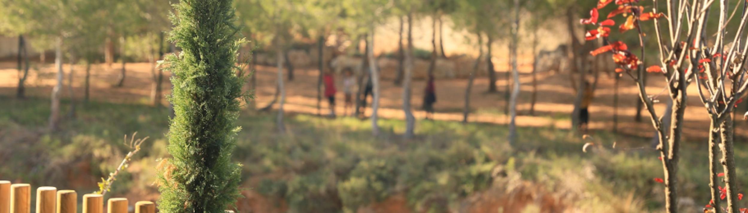 Cover Image for Calendar