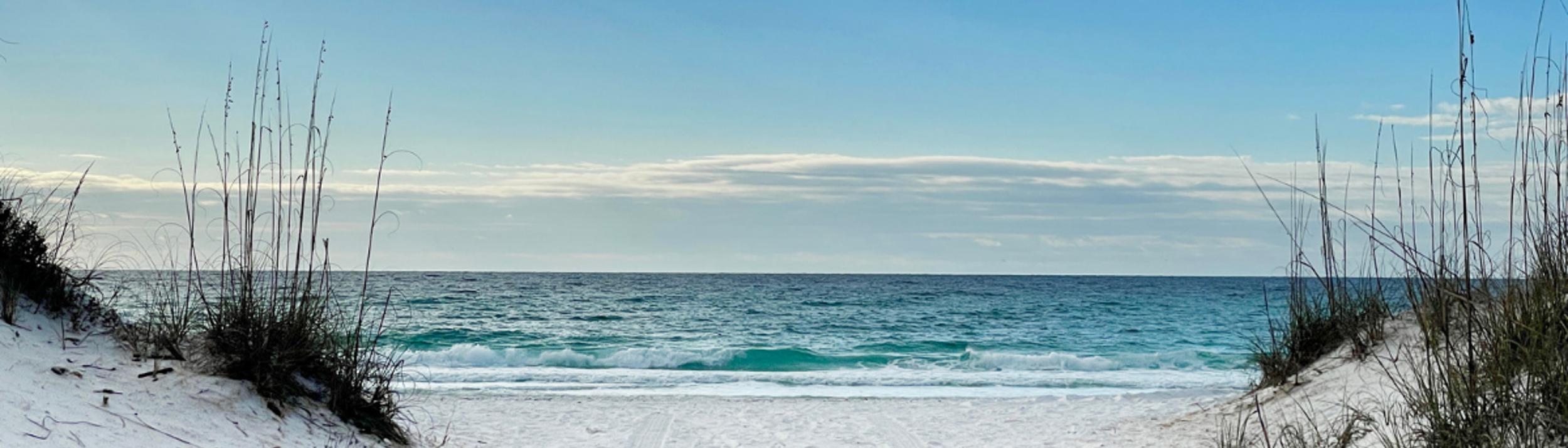 Cover Image for Calendar