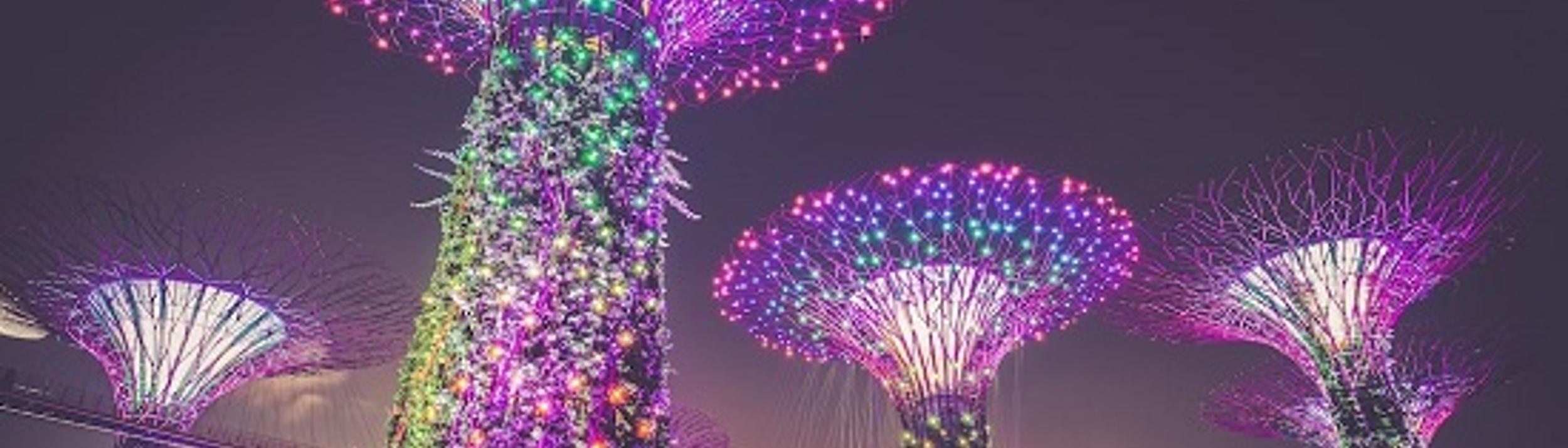 Cover Image for Calendar