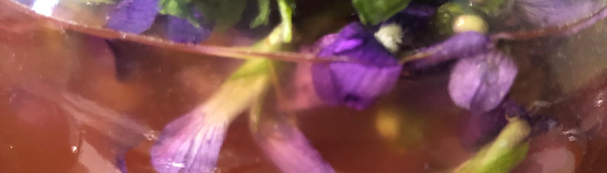 Cover Image for Calendar