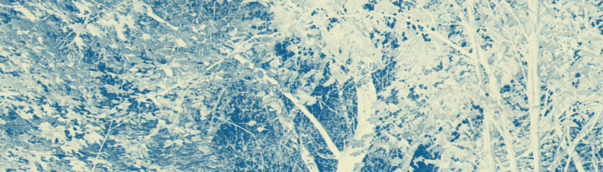 Cover Image for Calendar