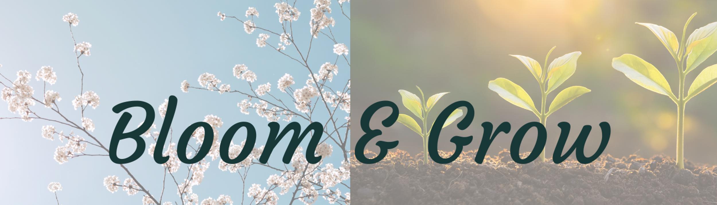 Cover Image for Calendar