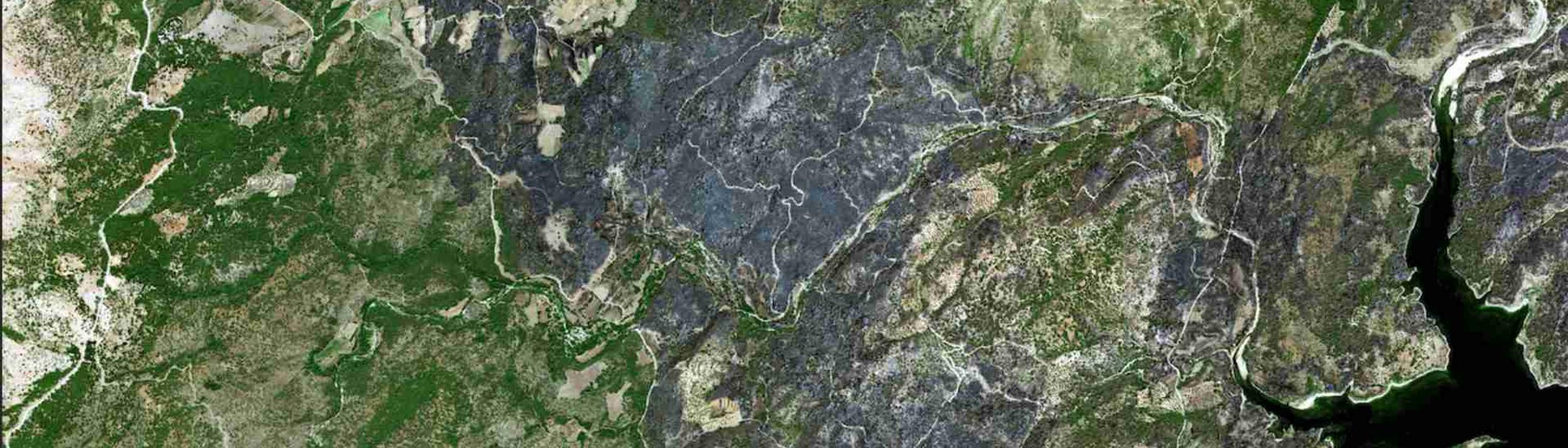 Cover Image for Calendar