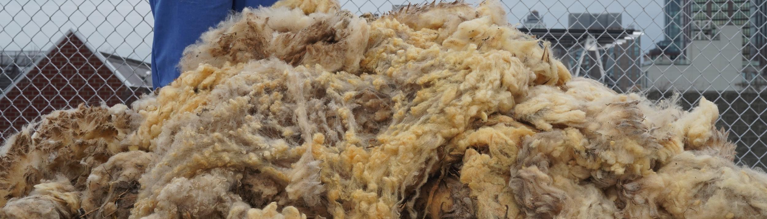 Cover Image for Calendar