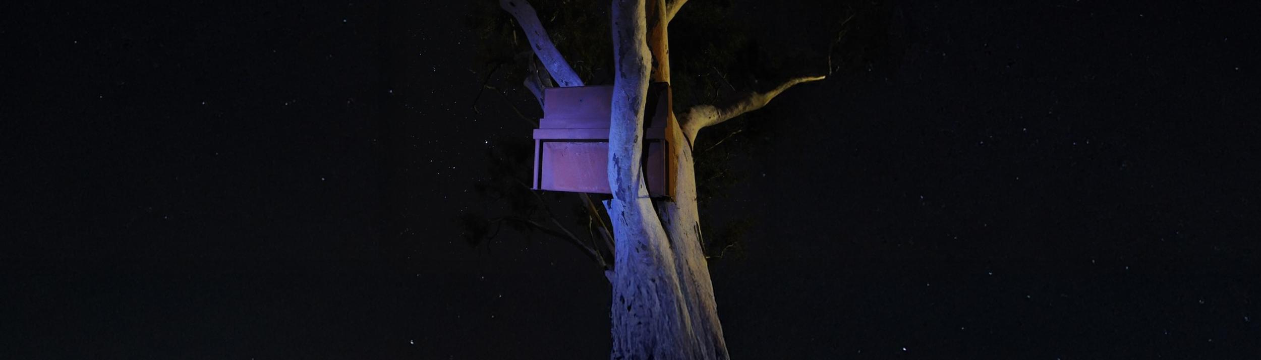 Cover Image for Calendar
