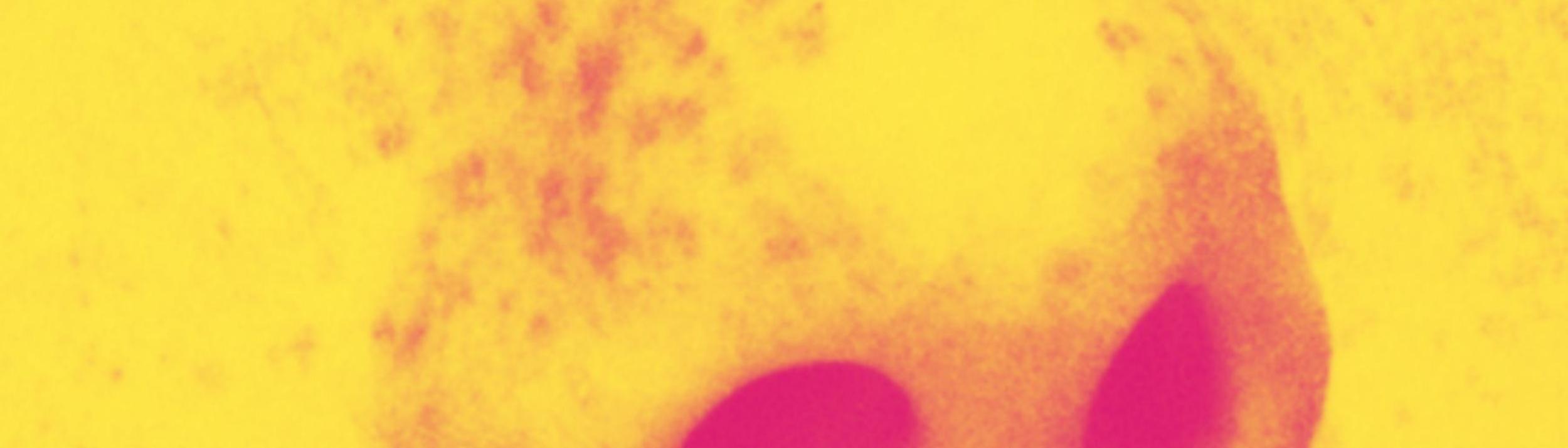 Cover Image for Calendar