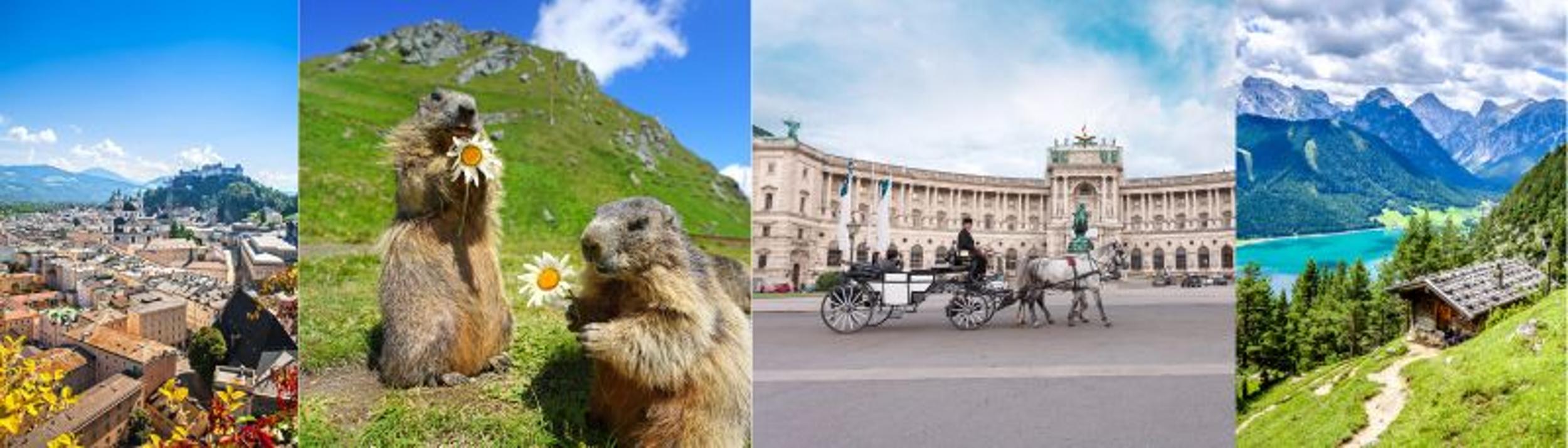 Cover Image for Calendar