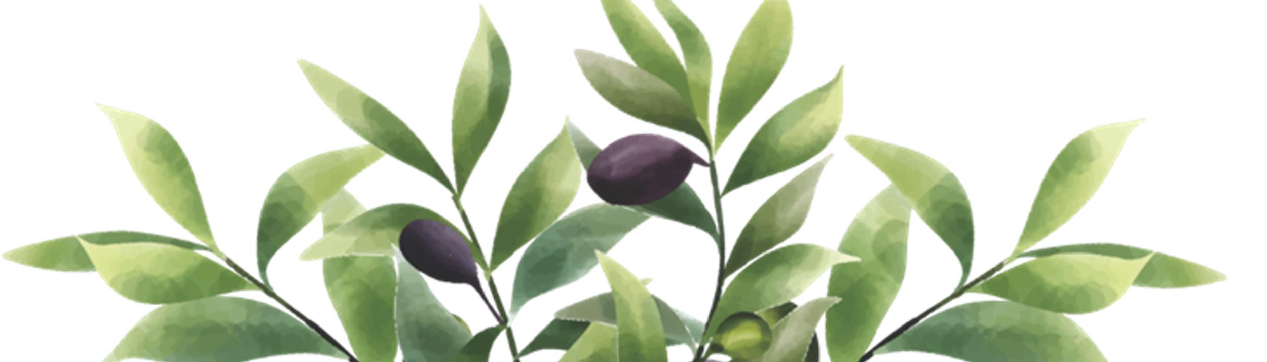 Cover Image for Calendar