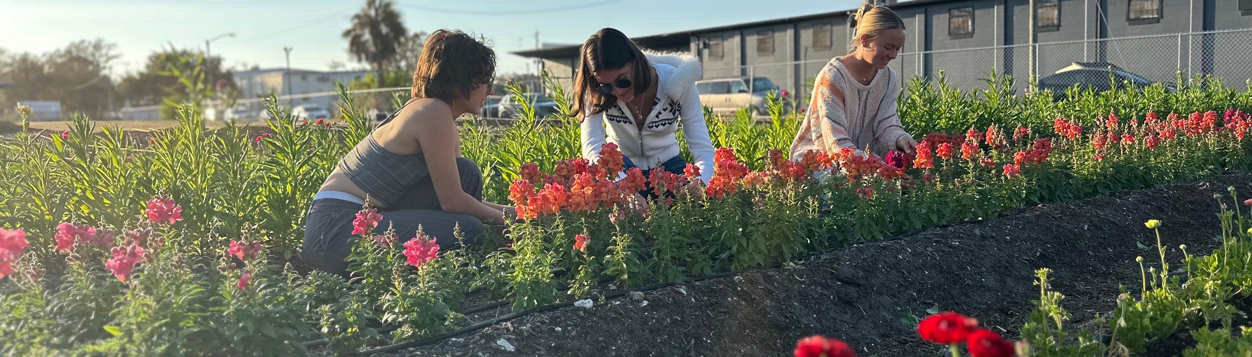 Cover Image for Calendar