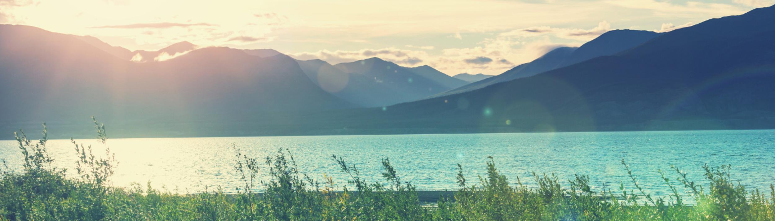 Cover Image for Calendar