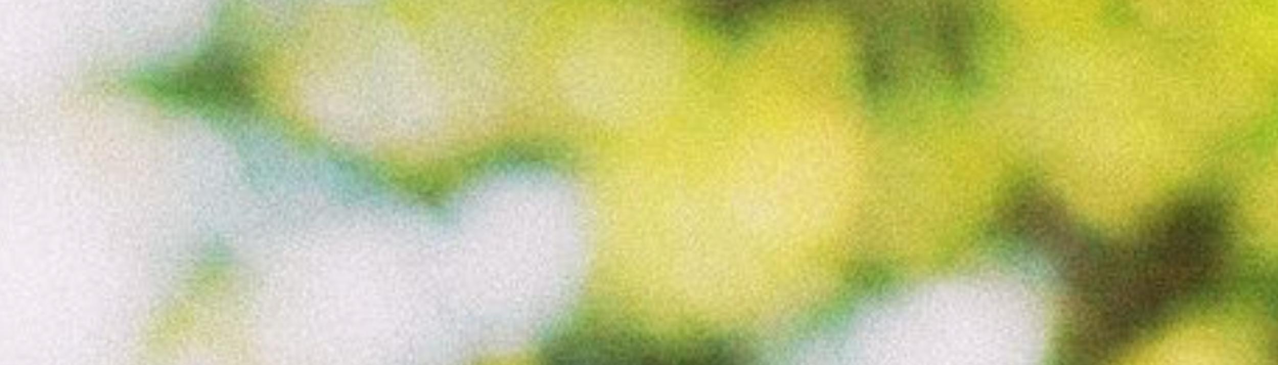 Cover Image for Calendar