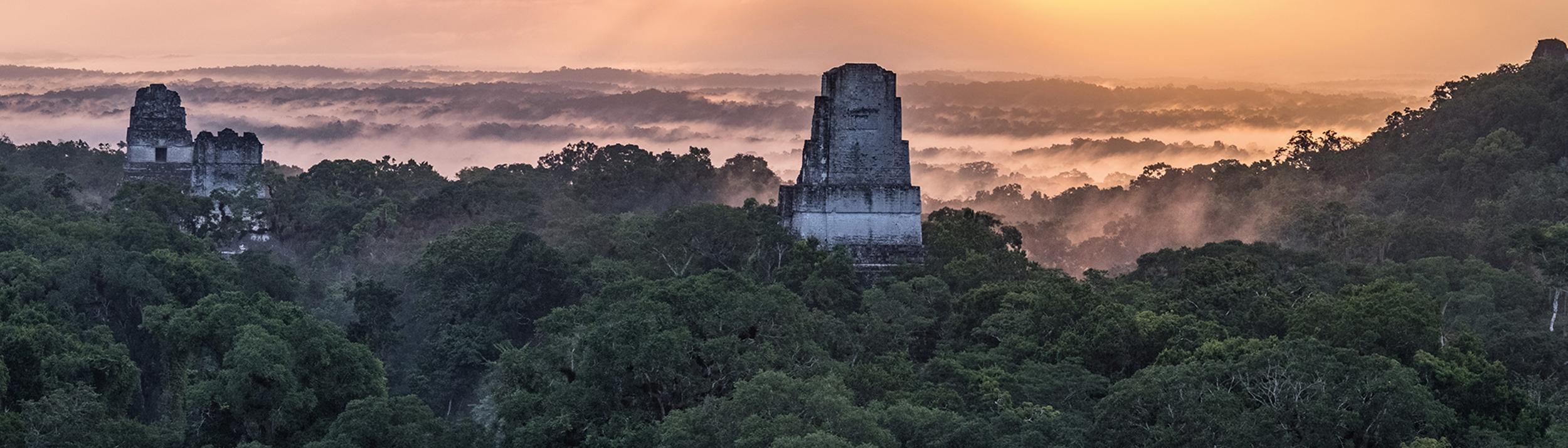 Cover Image for Calendar