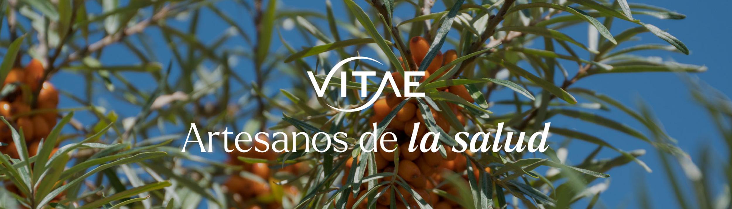 Cover Image for Calendar