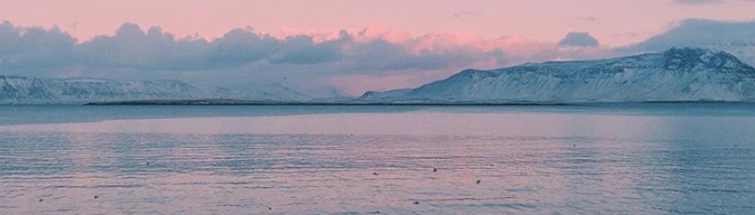 Cover Image for Calendar