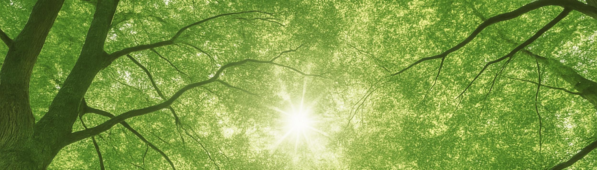 Cover Image for Calendar
