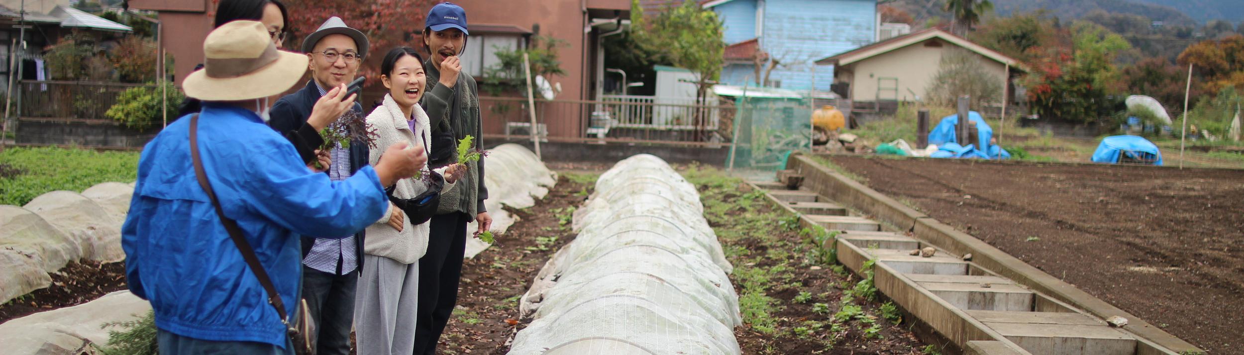 Cover Image for Calendar