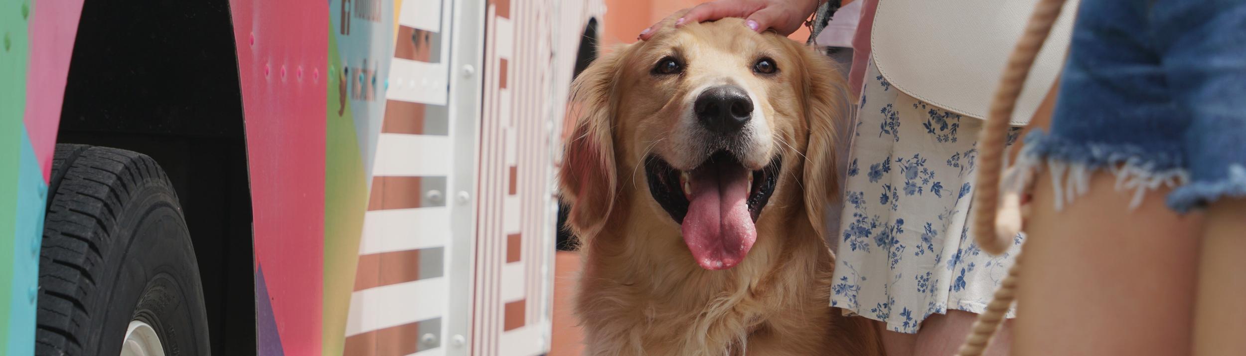 Cover Image for Calendar