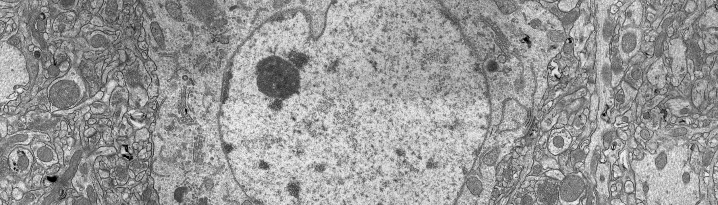 Cover Image for Calendar