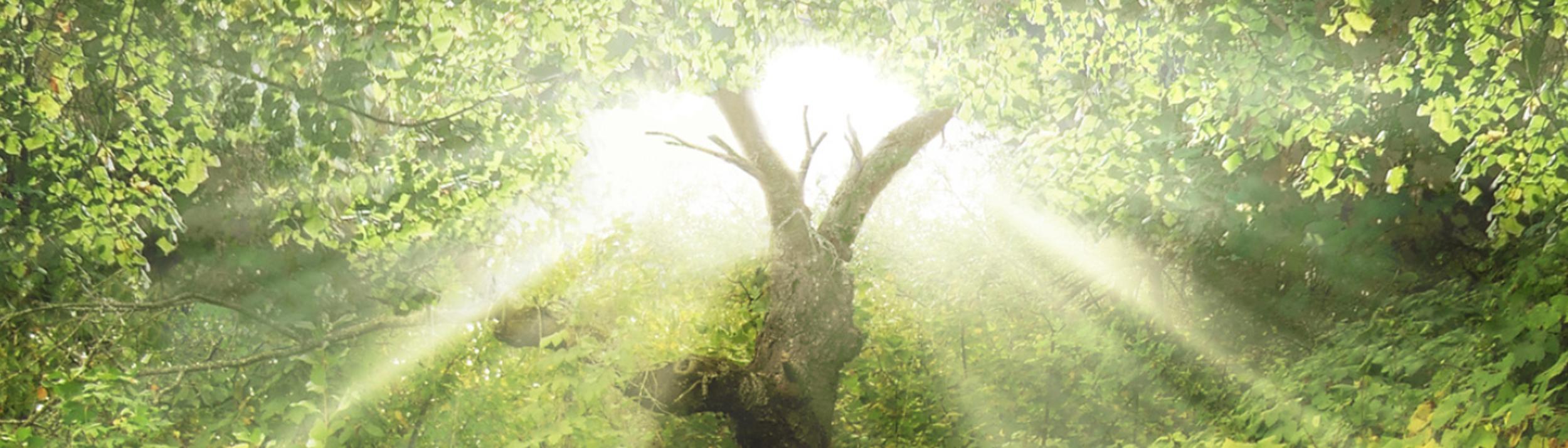 Cover Image for Calendar