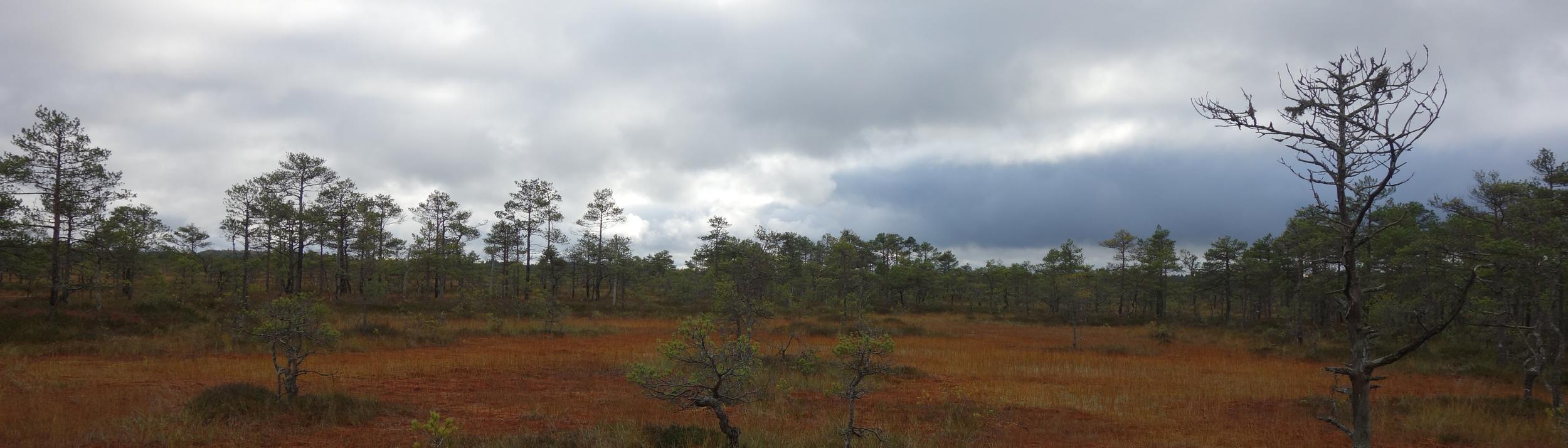 Cover Image for Calendar