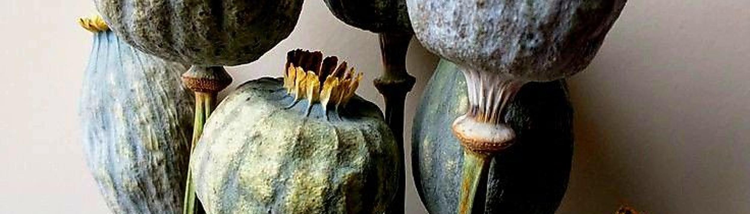 Cover Image for Calendar