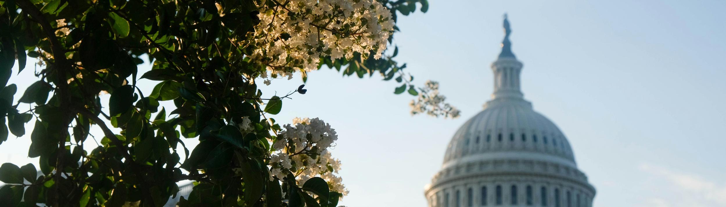 Cover Image for Calendar