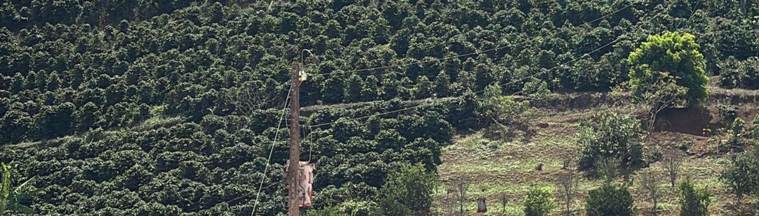 Cover Image for Calendar